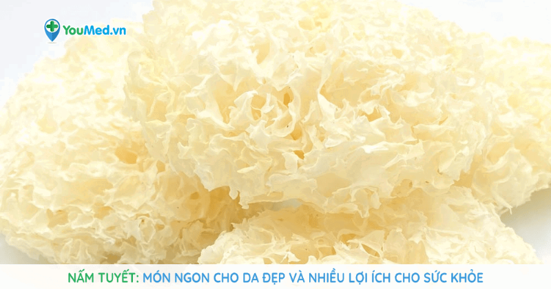 Nấm tuyết trên cây