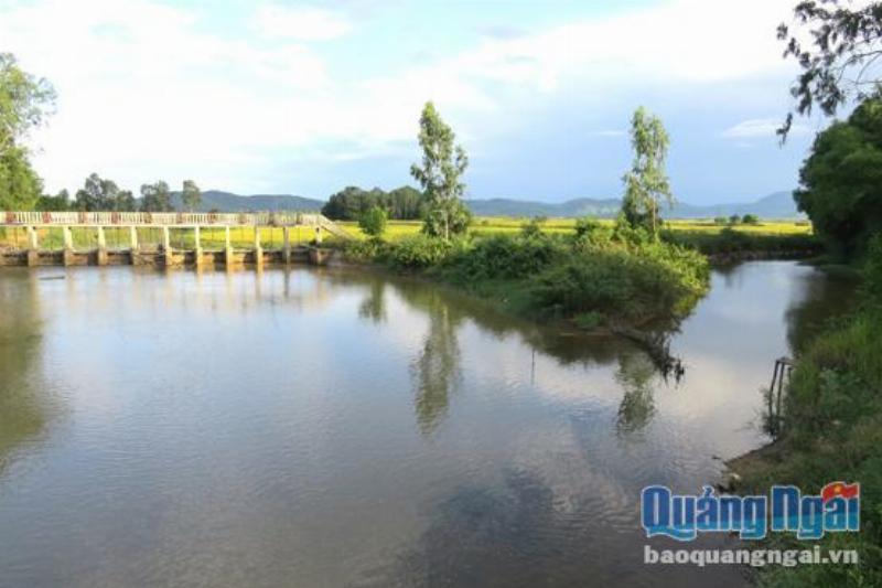 Bữa cơm gia đình với canh chua cá ngạnh