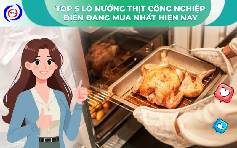Các loại lò nướng thịt bằng điện