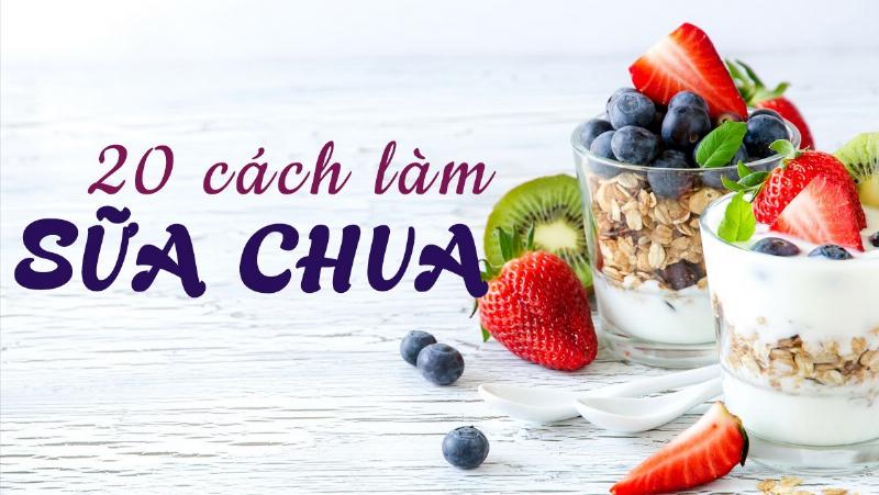 Các loại sữa chua tự làm