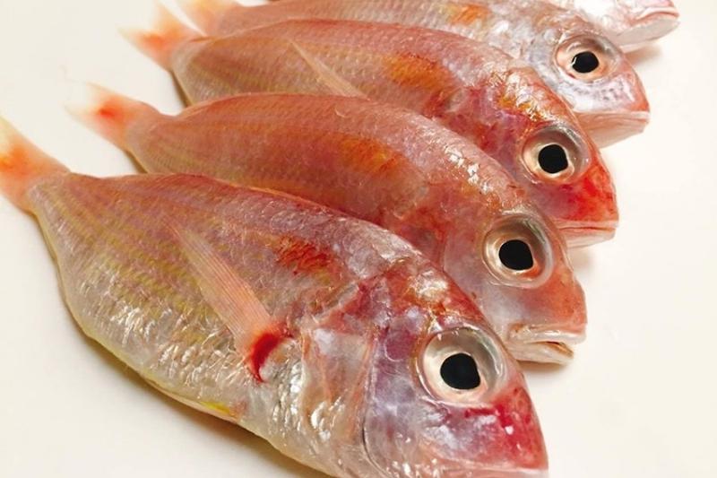 Giá trị dinh dưỡng cá phèn
