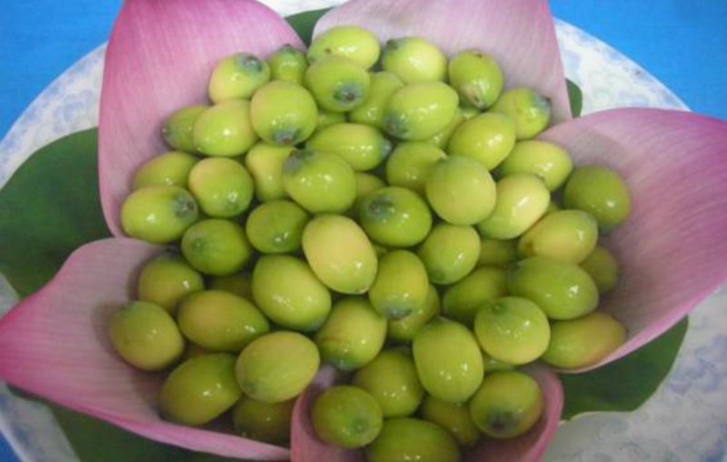 Hạt sen tươi trong đầm sen