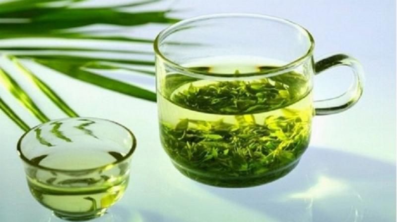 Hình ảnh lá đinh lăng tươi tốt trong vườn