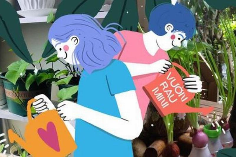 Hình ảnh Lá Đinh Lăng Tươi Xanh mơn mởn