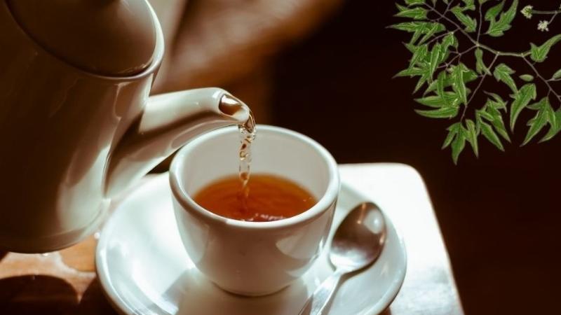 Ngủ ngon nhờ lá đinh lăng