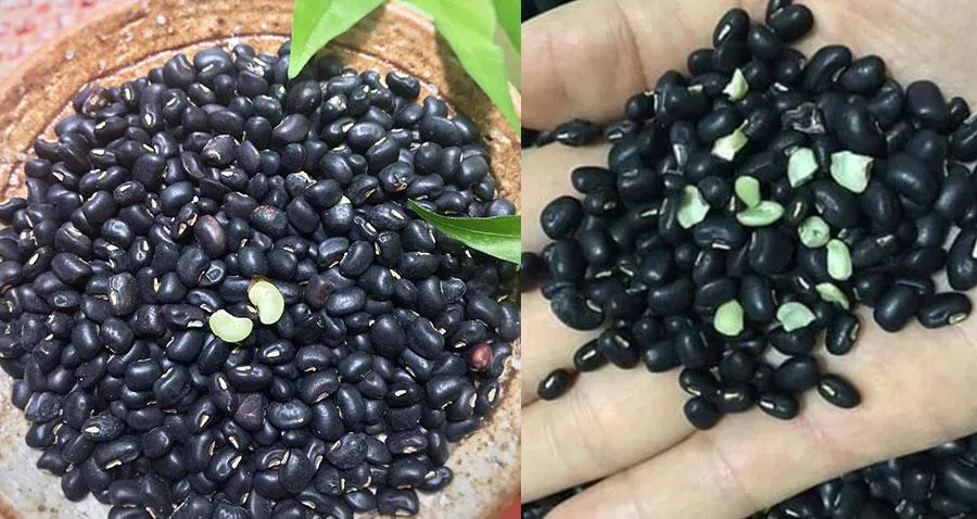 Bát chè đỗ đen truyền thống sánh mịn hấp dẫn