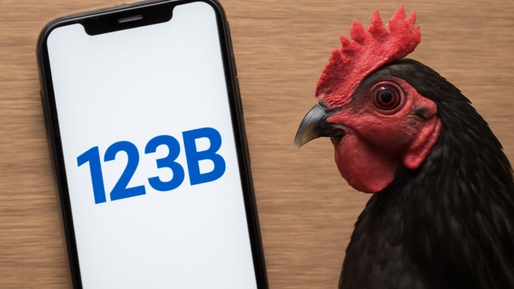 Minh họa: 123b là gì?