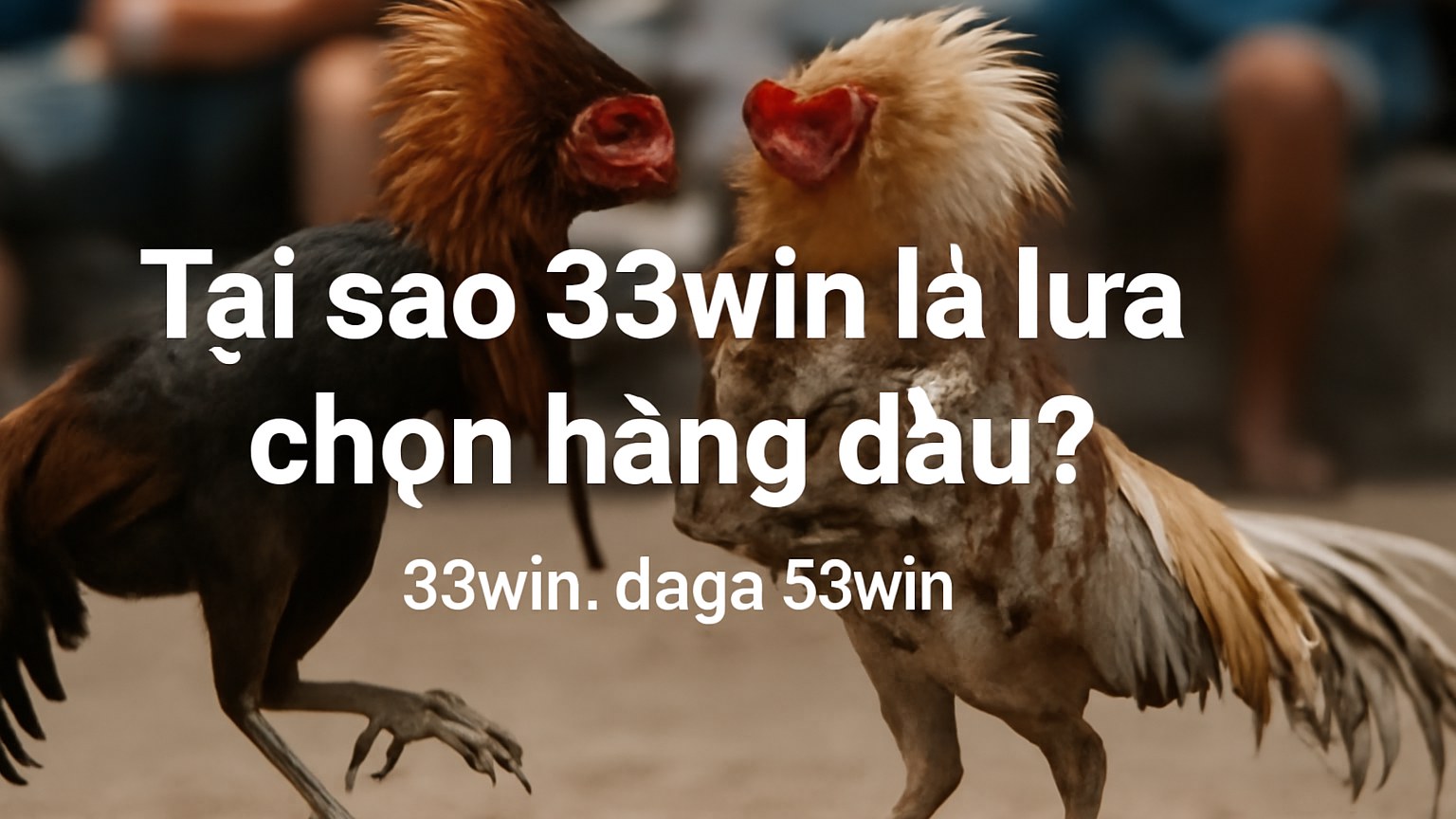 33win – Nền tảng giải trí trực tuyến uy tín với đá gà hấp dẫn